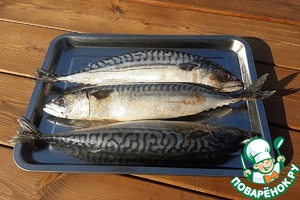 Шашлык из скумбрии с апельсином